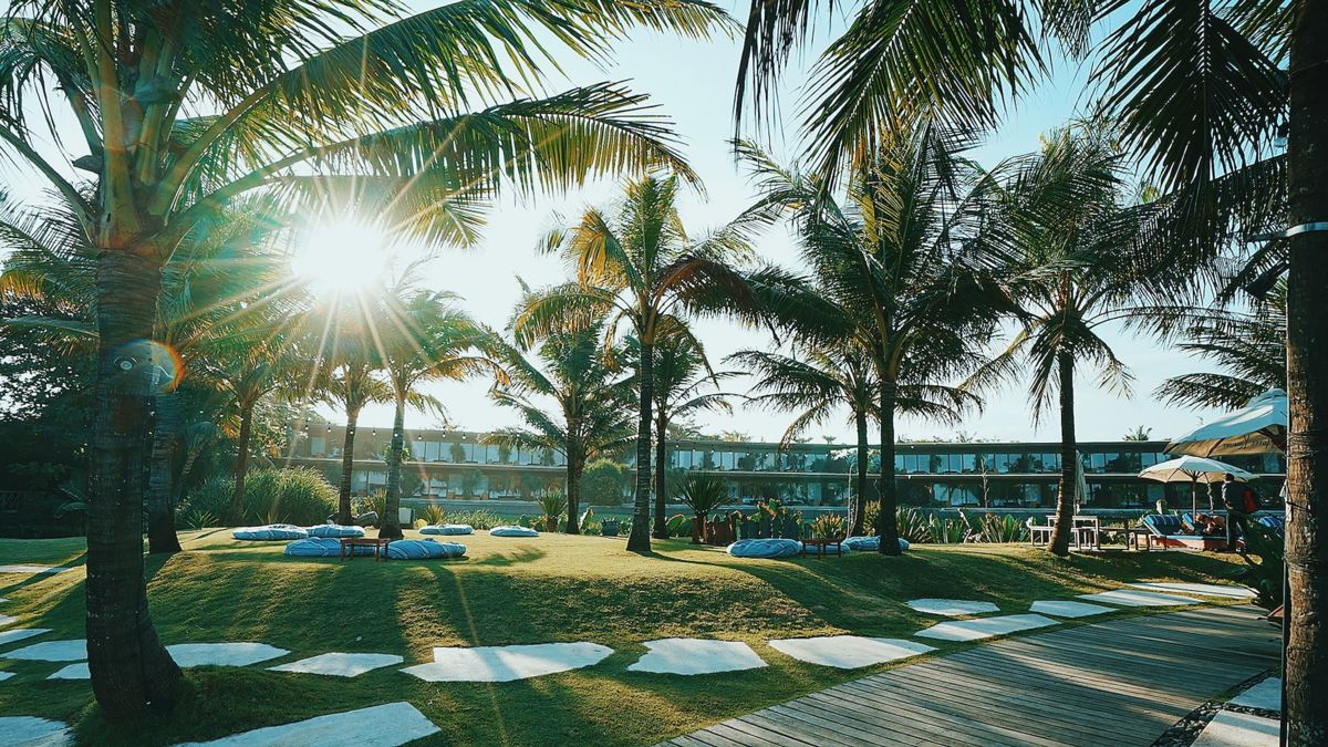 Photo of club grounds with palm trees and seating